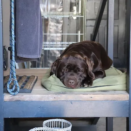 Petite Otel Haderslev