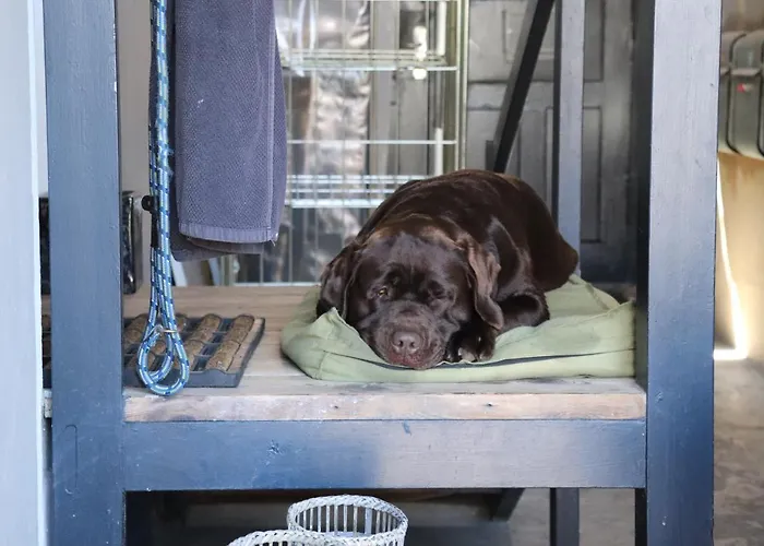 Petite Отель Хадерслев